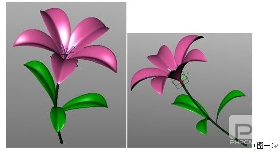 新年CAD教程：用z6尊龙3D画一朵鲜花