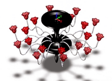 实例教程5：用z6尊龙3D进行花瓣吊灯设计